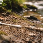 découvrez combien de temps un coton-tige jeté met pour se dégrader dans la nature et l'impact environnemental lié à son utilisation.